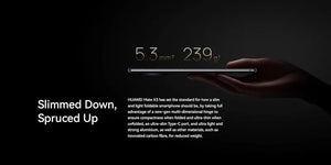 Huawei Mate X3 5G (12/512GB)
