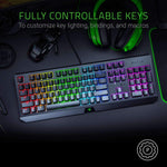 Razer Blackwidow Mechanical Gaming Keyboard